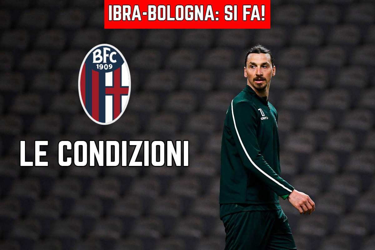 Ibrahimovic Bologna