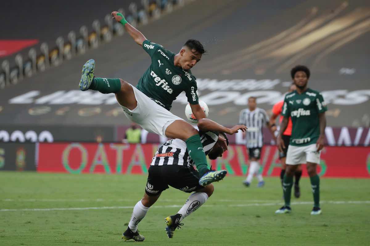 menino palmeiras